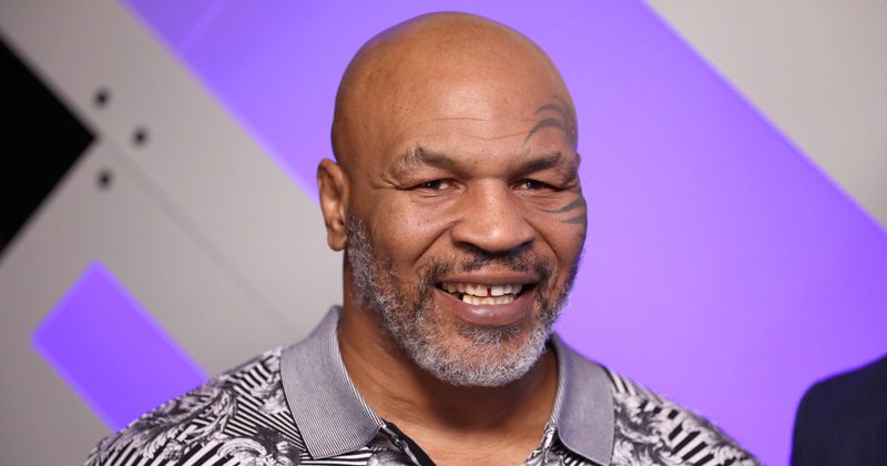 Mike Tyson forced to sell his pet Bengal tiger after 16 years because she 'ripped somebody's arm off'