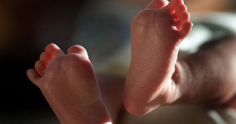 California couple who killed newborn daughter and left her in corn dog box under freeway to spend life in prison