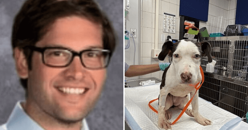 Teacher rescues injured pup Dory found locked in metal crate and thrown in icy river