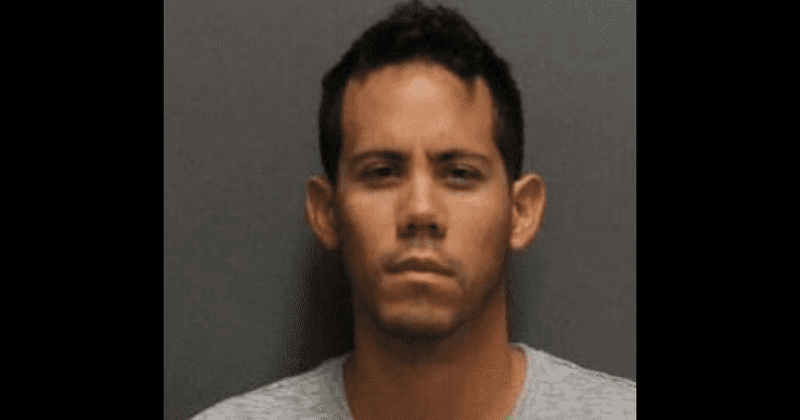 Male nanny, 30, faces 690 years in prison after being charged with abusing 17 boys in California, including one as young as two