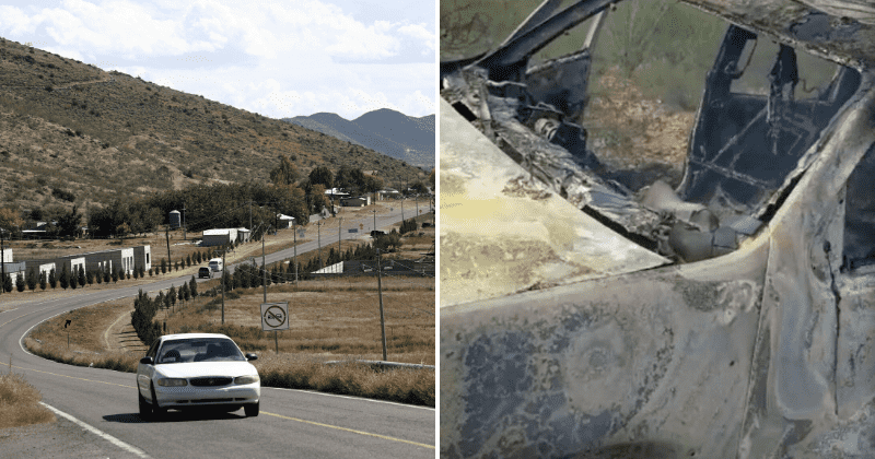Mexico Mormon massacre: 13-year-old boy hid six siblings in bushes and walked for six hours looking for help