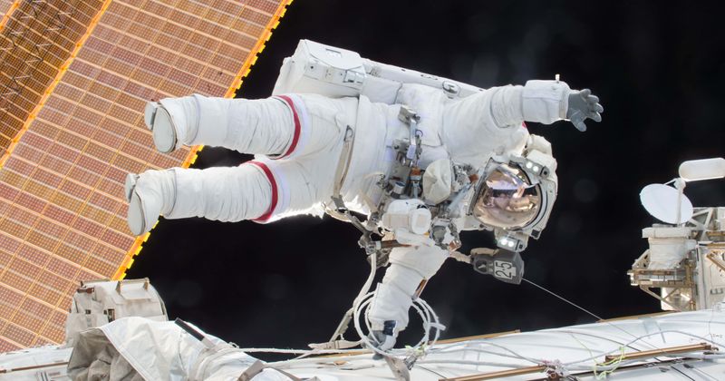 Human heart cells change during spaceflight, say scientists in study that could have far-reaching effects on cardiac health