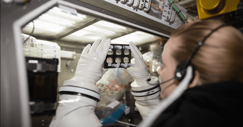 Human heart cells change during spaceflight, say scientists in study that could have far-reaching effects on cardiac health