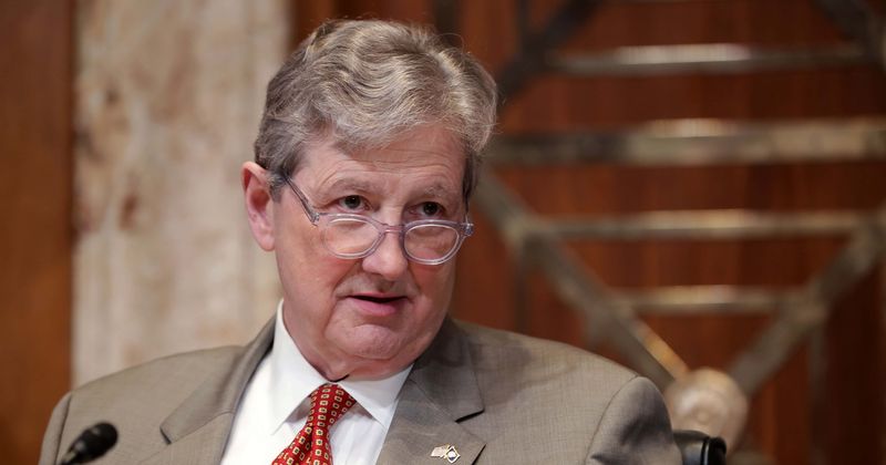 Louisiana senator mocks Pelosi for initiating Trump impeachment: 'It must suck to be that dumb!'