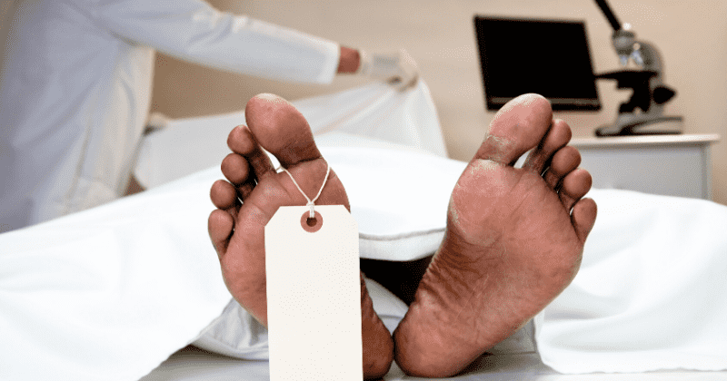 Stool containing drug-resistant E. coli bacteria killed 73-year-old man, doctors say after first death from fecal transplant
