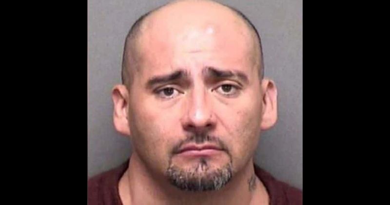 Texas man kills mother's pet dog by violently throwing it on the hard floor because she wouldn't let him have sex in her house