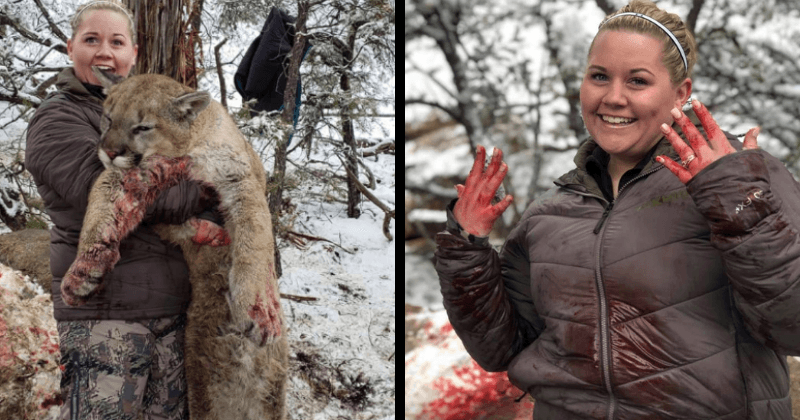 Colorado hunter slammed for posing with corpse of mountain lion, gloating about her kill
