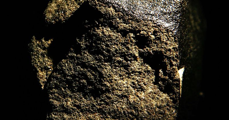 Extraterrestrial sugars discovered in two meteorites that hit Earth provide vital clues to the origin of life on Earth
