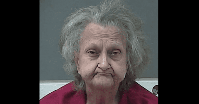 Tennessee woman, 72, who stabbed husband as he slept on recliner, said to be 'cheerful' and 'unfazed': 'I hope he died'