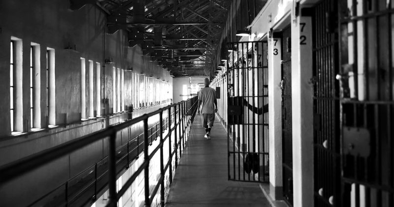 Illinois schools put students in solitary confinement where they 'banged their heads against walls, urinated in their pants', claims probe
