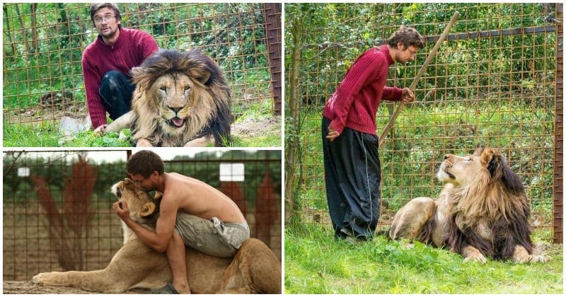 Man mauled to death by lion and lioness he had kept illegally in his backyard