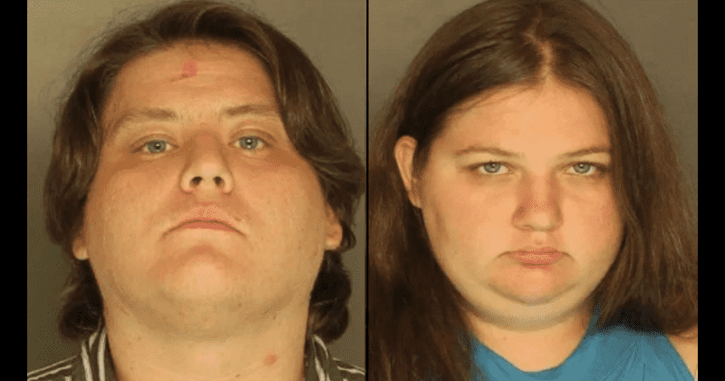 'Furry' couple had sex with 15-year-old Pennsylvania boy after grooming him to be their 'pet': Police