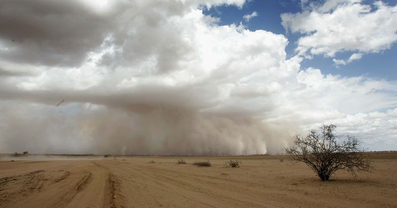 Climate change crisis: 7.2 billion people could be exposed to losses in food production by 2100 if emissions go unchecked