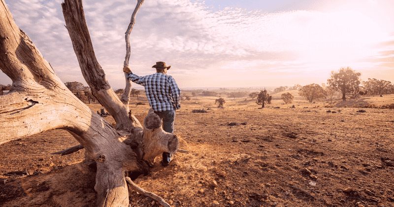 Climate change crisis: 7.2 billion people could be exposed to losses in food production by 2100 if emissions go unchecked