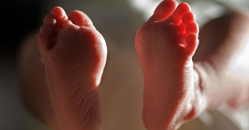 Newborn offered for sale in disturbing Craigslist ad in Florida, 4-year-old sister to be given away 'for free': Police