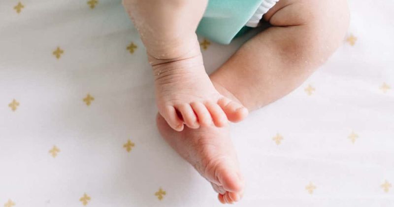 Newborn offered for sale in disturbing Craigslist ad in Florida, 4-year-old sister to be given away 'for free': Police