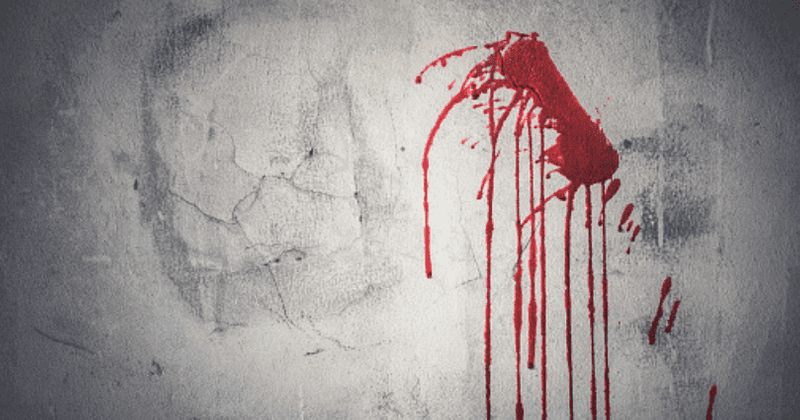 An Unexpected Killer: The tragic murders of pro-life Catholic couple Robert and Kathryn Swartz found butchered in their home