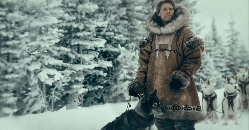 Disney+ 'Togo' Review: Heartwarming winter tale of a man and his dog with captivating visuals
