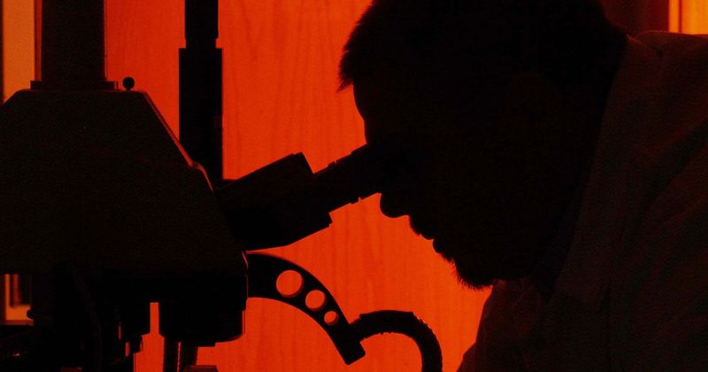 The science behind US's 'cancer alley' and the chemical plant at the center of the controversy