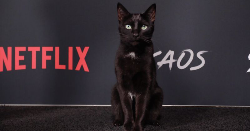 'Chilling Adventures of Sabrina' Season 2: Feline Salem may not talk, but he sure has enough of a backstory for an entire episode