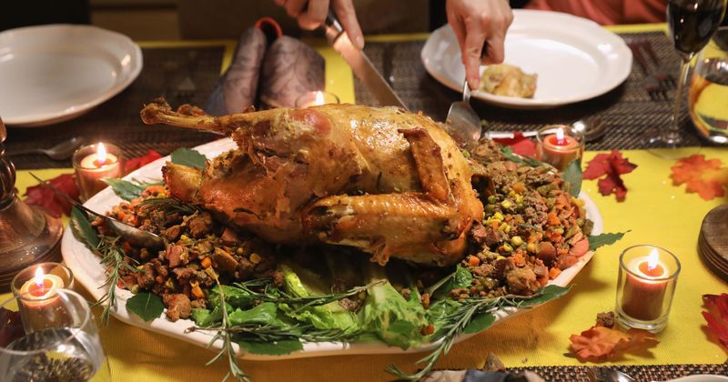 'Welcome to Plathville' star Moriah Plath hints she has cut off ties with her family as she spends Thanksgiving with Olivia
