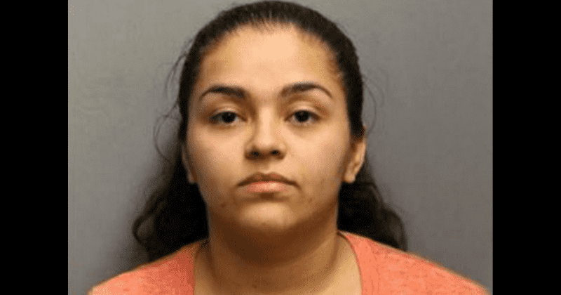 Illinois teen shot in the chest after pointing pellet gun at woman while trying to steal her dog