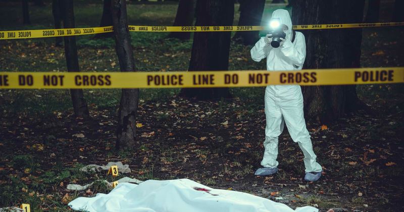 26-year-old vet who was gang-raped and burned to death 'trends' on porn site as most searched name