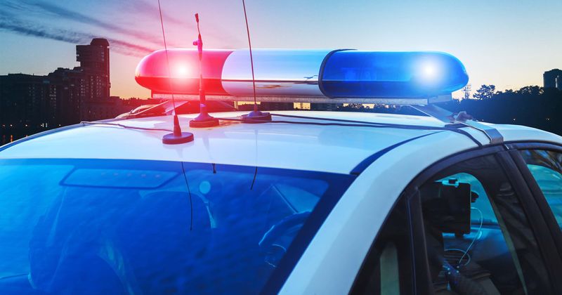 2 Pennsylvania siblings arrested after fight over who gets to ride shotgun turns into high-speed police chase
