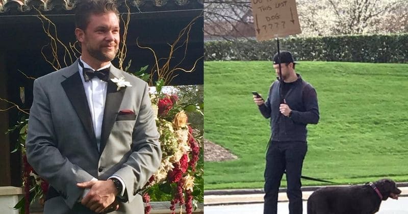 Man helps lost canine reunite with its owner after he stood on a street corner holding a 'lost dog' sign for two days