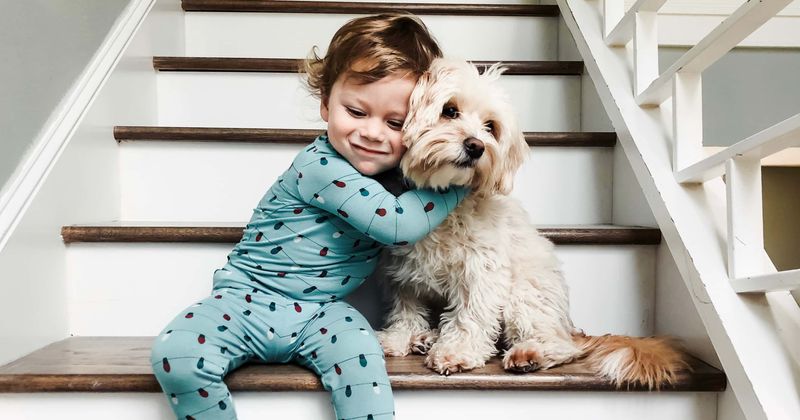 2-year-old dies after going back into burning Arkansas home to try and save pet puppy