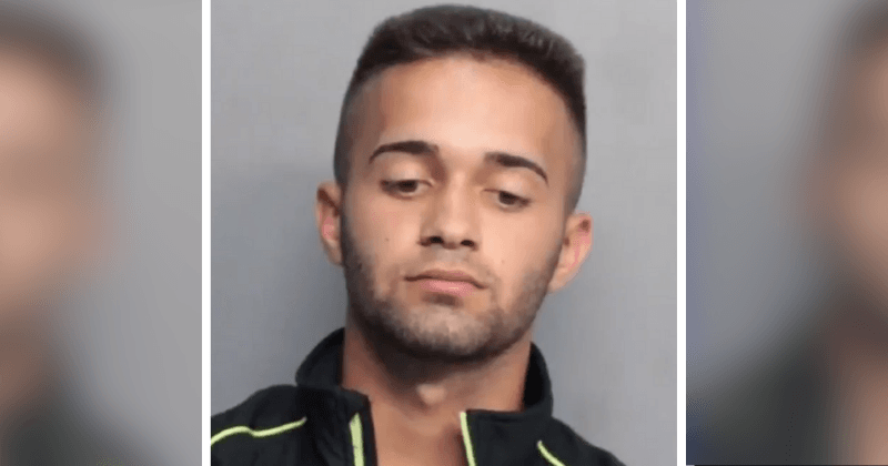 Florida teen accused of setting caged cat on fire and feeding it to his dogs gets no jail time