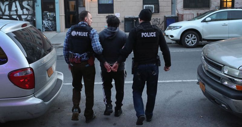 ICE using mass surveillance database from local police to track undocumented immigrants, records reveal