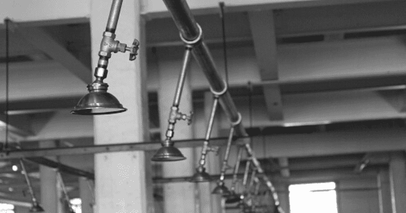 Maryland prison officials gave out broken wheelchairs, made single-leg amputee shower with no support: Lawsuit