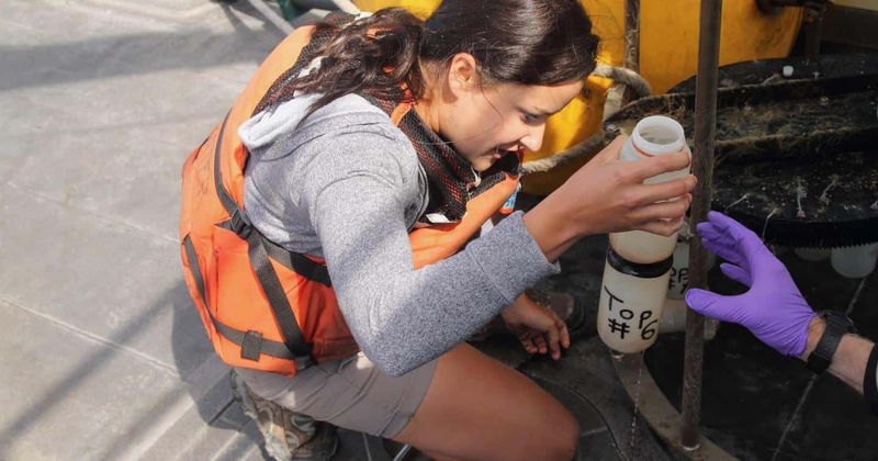 California's coastal water are twice as acidic as the global average, posing increasing threat to marine life