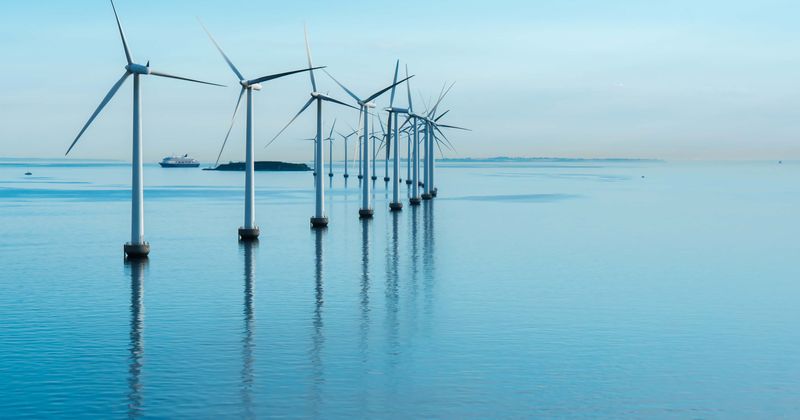 Offshore wind farms may meet our energy demands but will harm marine life if steps are not taken, warn scientists