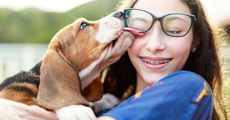 Puppies behind outbreak that seems to be making Americans sick across 13 states, says CDC