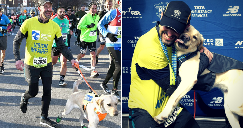 Blind runner defies all odds by completing NYC half marathon with the help of his three guide dogs