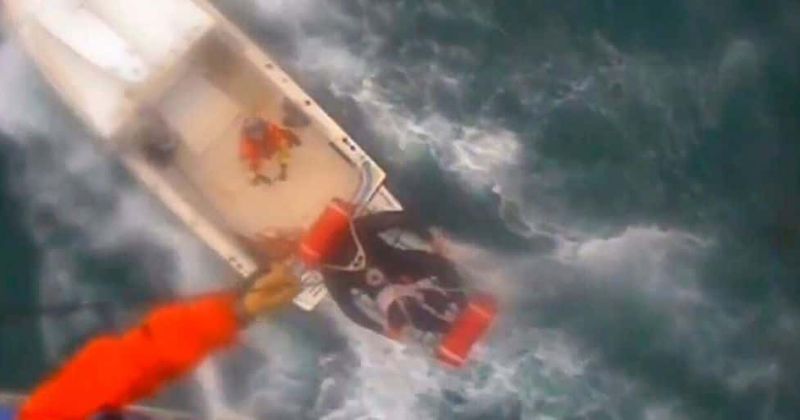 Surfer bitten by shark off the coast of California airlifted to safety by coast guard after 'truly terrifying situation'