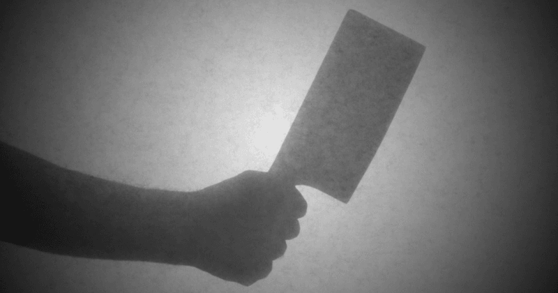13-year-old boy hacks his mother to death with a cleaver because she killed his pet dog