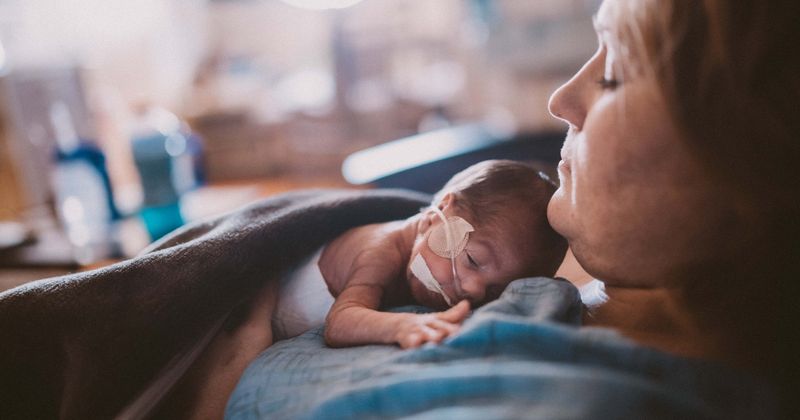 Pregnant women exposed to harmful chemicals like DDT or dioxin may give birth to smaller children, says study