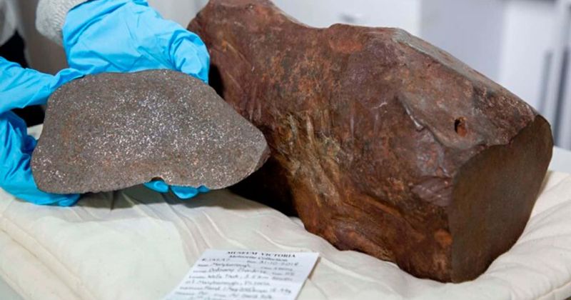 Man's hunt for gold leads to discovery of rare 4.6 billion-year-old meteorite