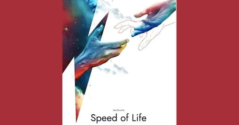 'Speed of Life' director Liz Manashil says David Bowie's death turned her horror film into a 'sci-fi romantic dramedy'