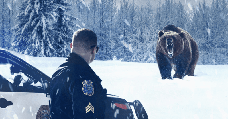 'Alaska PD': Understaffed cops deal with domestic violence, an armed suspect on run and giant bears