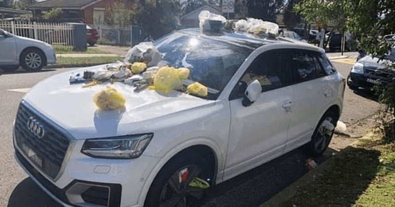 Teacher at a Sydney Islamic school finds garbage tipped on her car days after Christchurch mosque shootings