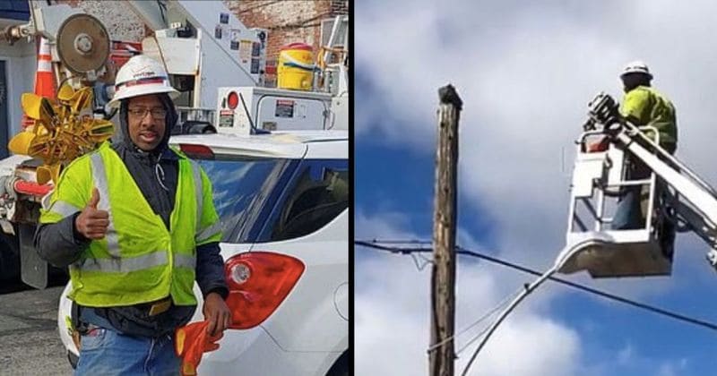 Verizon worker rescues cat stranded on telephone pole, gets suspended for 'putting lives in jeopardy'
