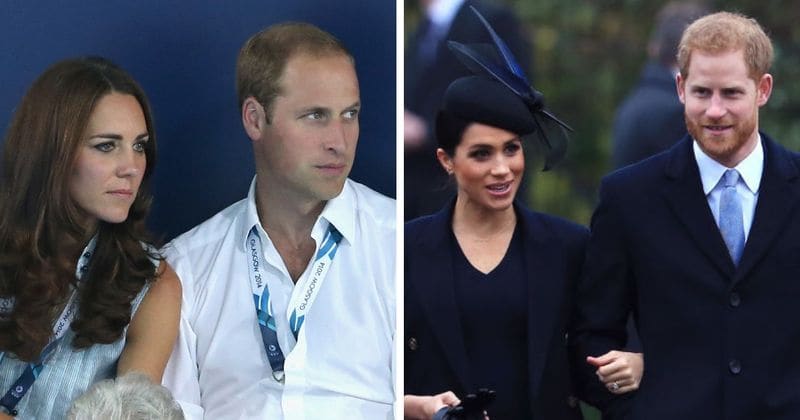 Prince Harry is more 'volatile' than William while Meghan Markle is more 'emotional', royal author claims