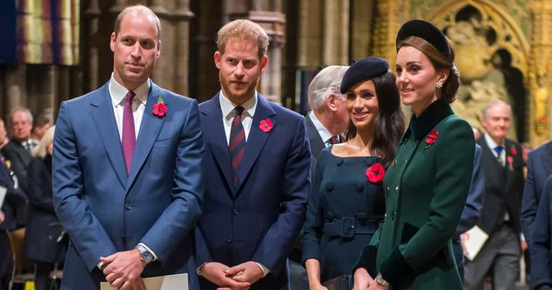 Prince Harry is more 'volatile' than William while Meghan Markle is more 'emotional', royal author claims
