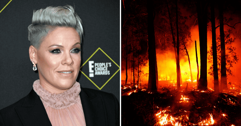 Australian bushfires: Pink donates $500,000 to firefighters, Selena Gomez & Kim Kardashian spread awareness