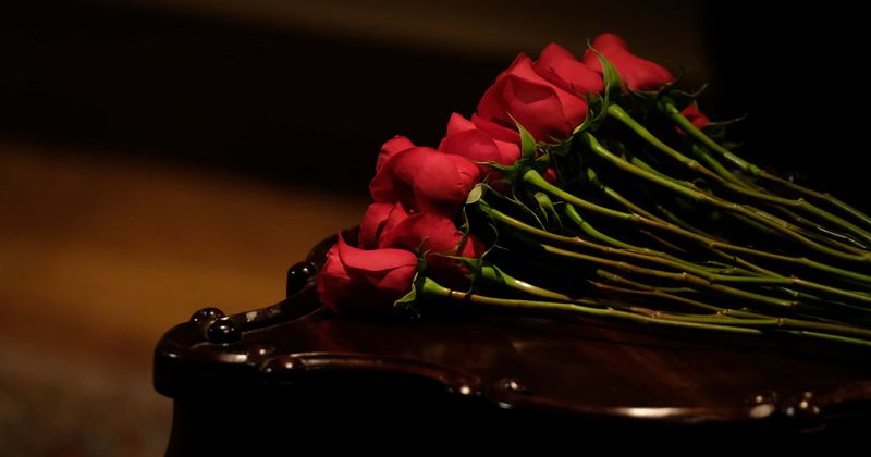 As 'The Bachelor' Season 24 comes to the screen, here's a peek into lives of the top 5 bachelors who appeared on the show