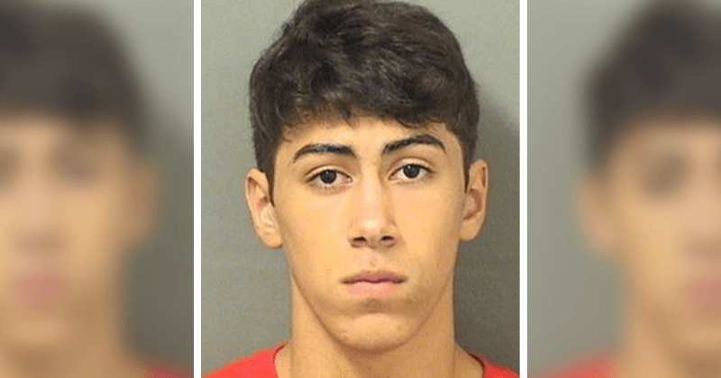 Florida man, 20, rapes neighbor, 35, and then offers to do her yard work to make up for it